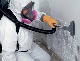 Why You Should Choose Our Mold Remediation Services in Monticello, IN